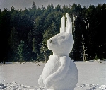 Winter on Bunnyrabbit Lake