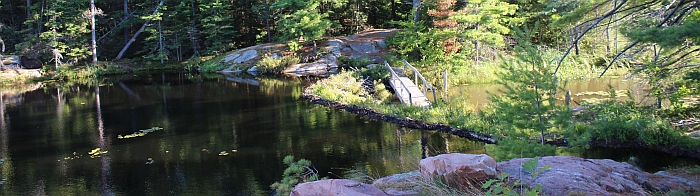 Cranberry Bog Hiking Trail, Killarney Provincial Park