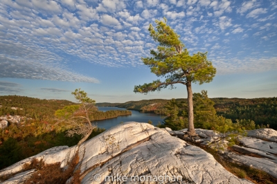 First night in Killarney Park, Nellie Lake - PRICELESS!.